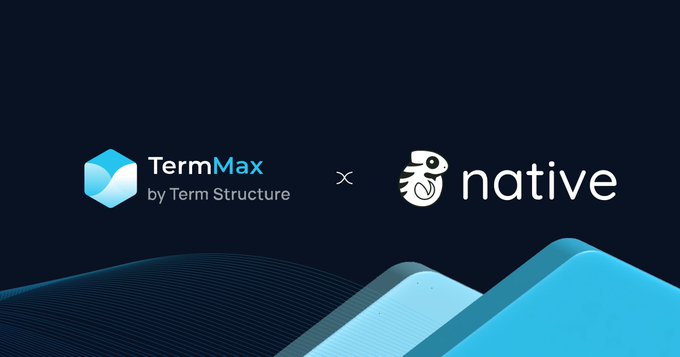 The image displays a partnership announcement graphic featuring the logos of "TermMax by Term Structure" and "Native" separated by an "×" symbol on a dark blue background, visually representing their collaboration on BNB Chain to bring term-based financial products alongside bStocks' 1:1 backed US stock tokens.