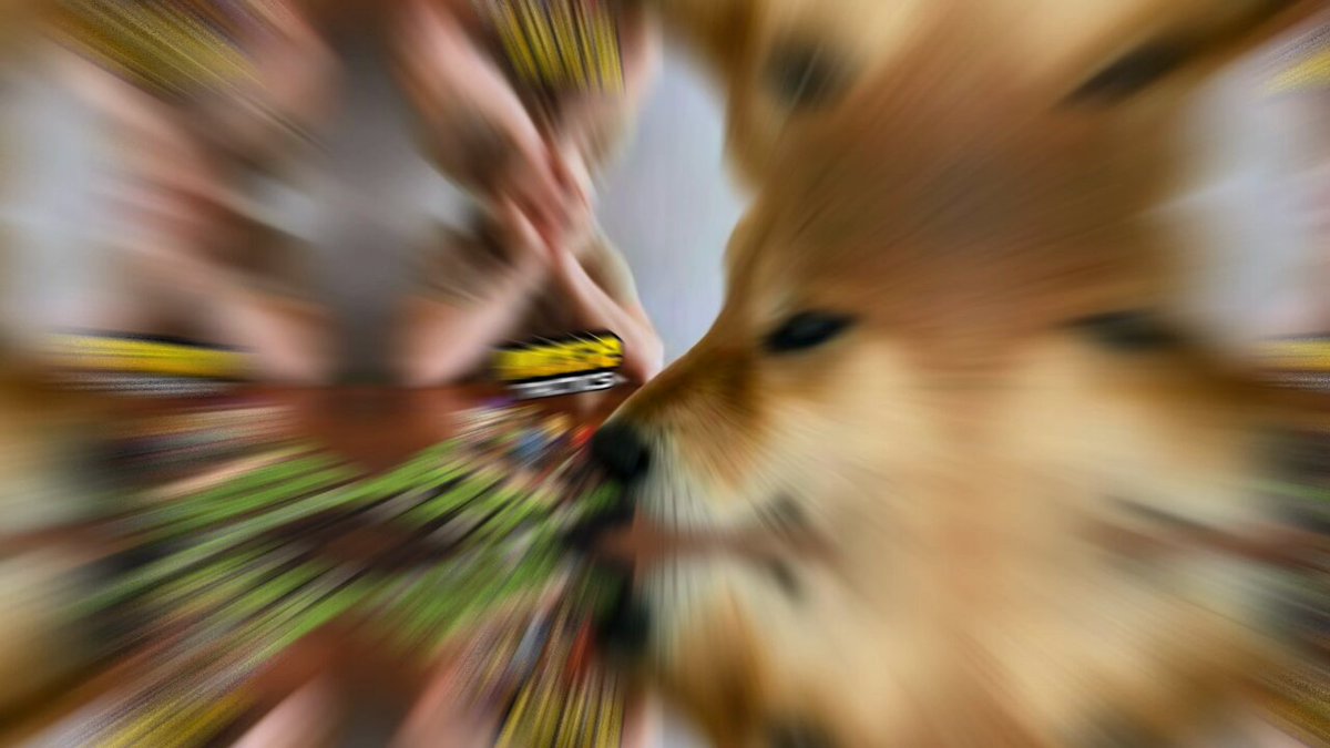 The image shows a blurry photo of a person's face, with a dog's head prominently featured in the center. The background appears to be a blurred scene or a painting that gives an impression of motion blur. The caption below the image reads "Review: What does a game (where everything is cheap) look like?: Play one match, earn tokens right away, but there'S something ..." and "Focus on what is in the image and how it relates to the post".