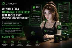An advertisement for 'Canopy' asking 'WHY RELY ON A WHISPER WHEN EXPLORER ISN'T JUST TO SEE WHAT YOUR OWN NODE IS RUNNING?' with a woman at a laptop displaying the $CNPY token.