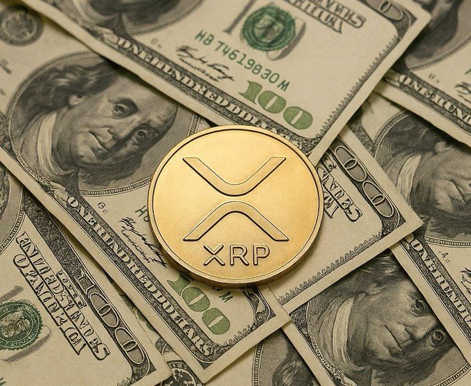 "As an XRP holder, my positive feelings towards this project have never diminished. But after further research, I have to admit that my initial price prediction was wrong. It's not that I don't approve of the project itself; on the contrary, I still think it has potential. It' s". Focus on what is in the image and how it relates to the post.