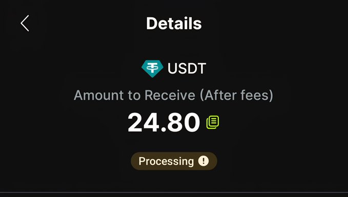 USDT withdrawal confirmation screen showing 'Amount to Receive (After fees): 24.80' with a 'Processing' status indicator.