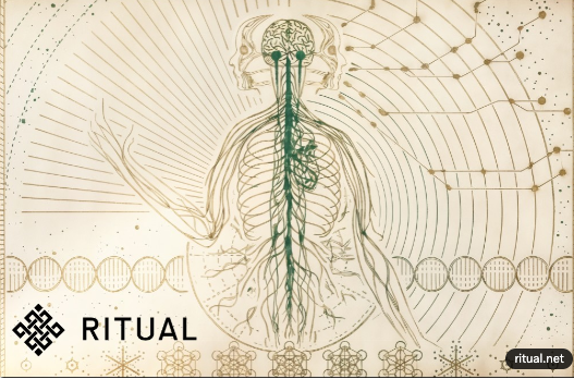 An intricate anatomical illustration merges human nervous system details with a DNA helix and celestial web, branded with "RITUAL" and "ritual.net," evoking the blend of biology, emotion, and interconnected markets described in the post about traders reacting to Bitcoin's rebound and macroeconomic events like non-farm payrolls and the FOMC.