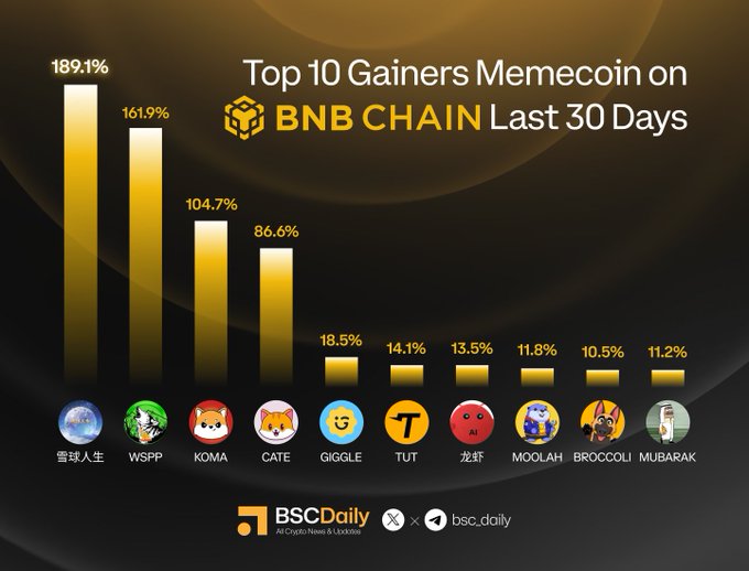 Bar chart titled 'Top 10 Gainers Memecoin on BNB CHAIN Last 30 Days' showing tokens like 雪球人生 (189.1%), WSPP (161.9%), KOMA (104.7%), CATE (86.6%), GIGGLE, TUT, 龙虾, MOOLAH, BROCCOLI, and MUBARAK, sourced from BSCDaily.