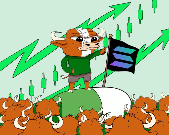 The image features a cartoon bull standing atop a green hill, holding a flag with an "Ethereum" symbol on it. The background of the image is filled with numerous bulls, creating a sense of a large herd or group. The caption at the bottom of the image reads: "being bullish on solana never stopped". This phrase emphasizes the bull's enthusiasm for Ethereum and its investment in this cryptocurrency.