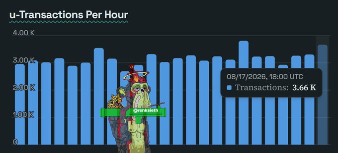 A bar chart titled "u-Transactions Per Hour" shows consistent transaction activity, with a highlighted data point on 08/17/2026 at 18:00 UTC showing 3.66K transactions, visually reinforcing the post's claim that $KAS network usage remains steady at 3K+ per hour rather than spiking randomly. The bars hover in a tight range between roughly 2.8K and 3.7K, supporting the narrative that activity is sustained and "healthy under the hood."