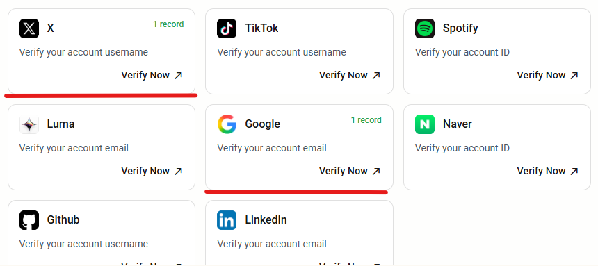 Account verification dashboard displaying boxes for X, TikTok, Spotify, Luma, Google, Naver, Github, and LinkedIn, with X and Google highlighted in red.