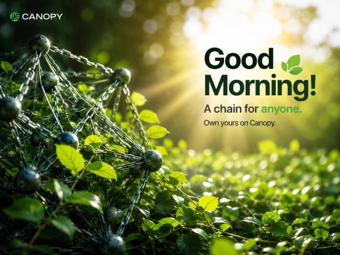 'Good Morning!' promotional graphic for Canopy featuring a 3D metallic molecular structure in a sunlit green forest, with the text 'A chain for anyone. Own yours on Canopy.'