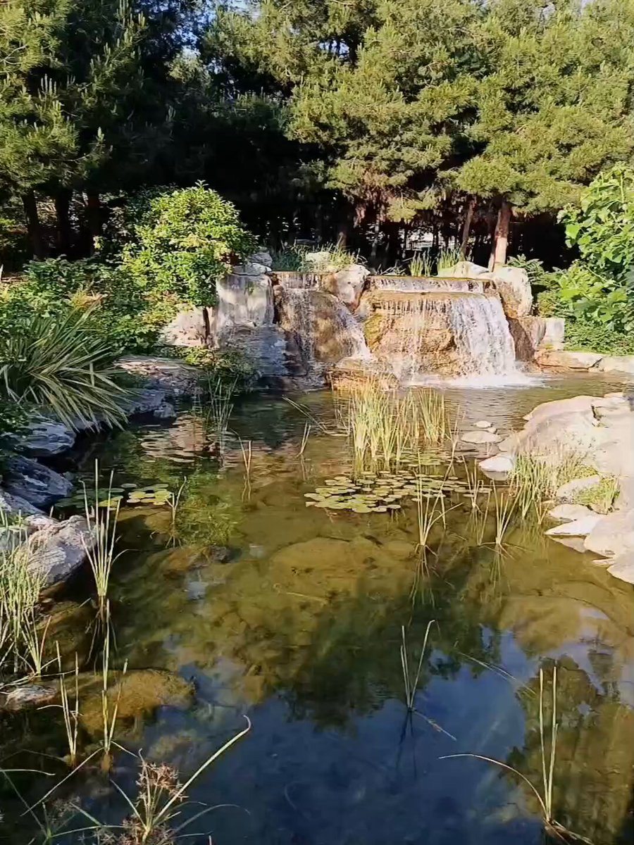 The image shows a beautiful garden with a small waterfall surrounded by trees, creating a serene atmosphere. A pond filled with lily pads can be seen, adding to the tranquility of the scene. In the background, there are some people enjoying their day outdoors in the park.