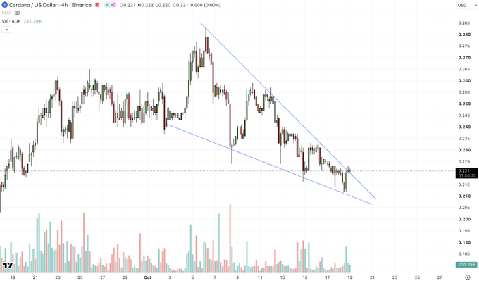 A financial candlestick chart showing the Cardano/USD (ADA) pair on Binance, displaying price action with a descending trendline in the 0.20-0.28 range.