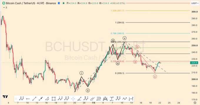 A Bitcoin Cash/USDT (BCHUSDT) 4-hour candlestick chart on Binance is shown, displaying an Elliott Wave analysis with labeled waves (i, ii, iii, iv, v, a, b, c) and Fibonacci retracement levels including 0.618 (225.4), 0.786 (268.0), and 0.236 (225.8), with the current price at 224.9—a setup that illustrates the trader's chart-based speculation about whether BCH will break out directly or trap traders before moving.