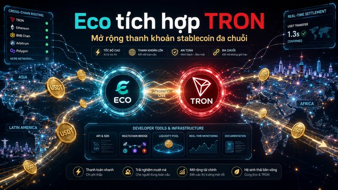 An advertisement for the cryptocurrencies named Eco and TRON is shown in a digital rendering of a world map having USDT flowing throughout it, being hosted by a third party called, "Developer Tools & Infrastructure," or DTI for short.