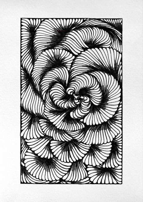 The image features a black and white drawing of a flower with spiral patterns, which appears to be a piece of art or an illustration. The flower has multiple layers and intricate details that make it visually appealing. The image also includes text that reads "Very late Gm Spirals Last 3 eduations 5xtz". This suggests that the artwork might have been created by someone who is interested in the concept of spirals, possibly as part of a series or an art project.