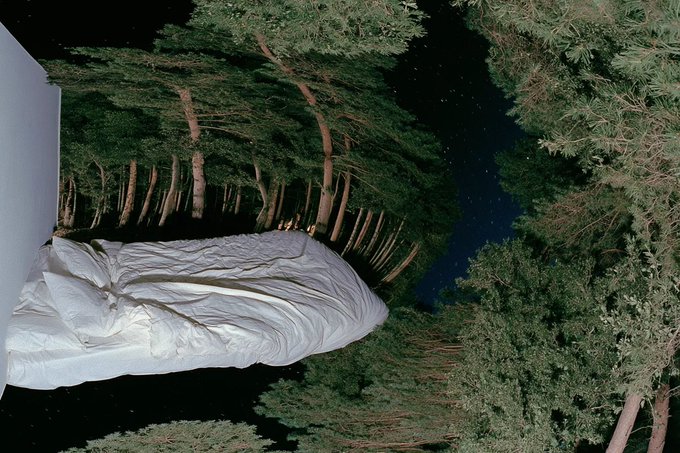 An artistic composition featuring a white draped cloth or statue against a backdrop of tall pine trees under a dark sky, possibly inverted or shot from a low angle.