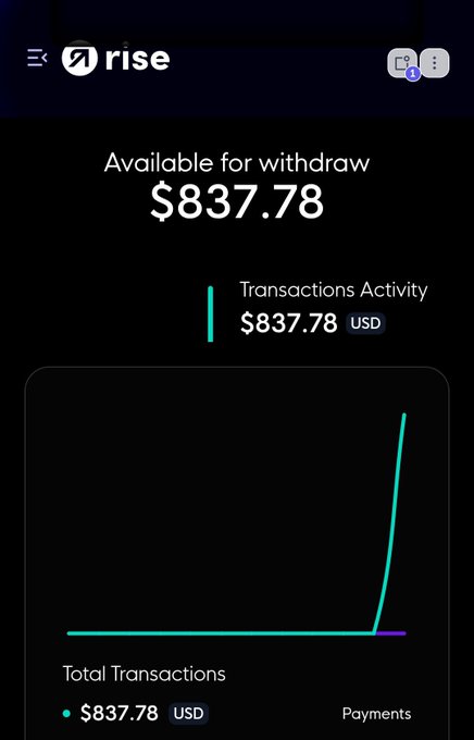 A screenshot of the 'rise' app dashboard showing an available withdrawal balance of $837.78 USD, with a transaction activity line chart and total transactions summary at the bottom.