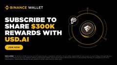 A Binance Wallet promotional banner with the headline "SUBSCRIBE TO SHARE $300K REWARDS WITH USD.AI," featuring a graphic of a wallet token and directing users to join now, which aligns with the post announcing $300K in $CHIP rewards for depositing PYUSD to earn with sUSDai starting September 29.