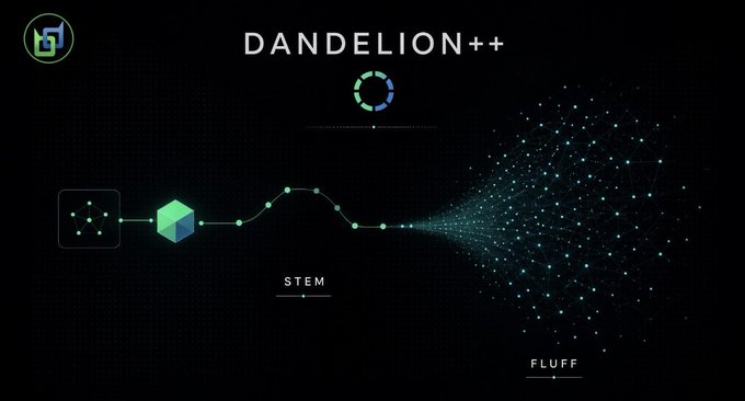 A dark presentation slide titled 'DANDELION++' illustrates a flow diagram showing a node connecting to a green cube labeled 'STEM,' which branches into a dispersed cloud of dots labeled 'FLUFF,' with a 'G' logo in the top left.