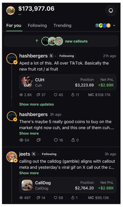 The image shows a social media feed displaying crypto callouts, featuring users like "hashbergers" and "jeets" posting about trending tokens including "CUH" (+$2.69K PnL, $108.17K MC) and "CallDog" (+$2.68K PnL, $95.13K MC). A user profile shows a balance of $173,977.06, suggesting this is a screenshot highlighting successful crypto trading callouts to find more accounts to follow for gem calls on PumpFun.