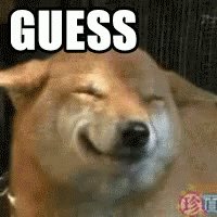 The image features a brown dog with its eyes closed, giving the impression that it's smiling or making a funny face. The caption reads "Guess what @quipnetwork is handling", which suggests that there might be some sort of humorous or unexpected situation related to the post. The focus on the dog and its facial expression adds an element of surprise or amusement to the image, as if the viewer has just encountered something unexpected in their day-to-day life.