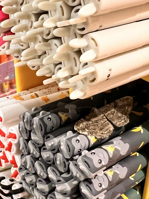 Folded fabric items are neatly arranged on shelves, featuring animal designs including bears, elephants, and what appears to be a food-themed pattern on white material.