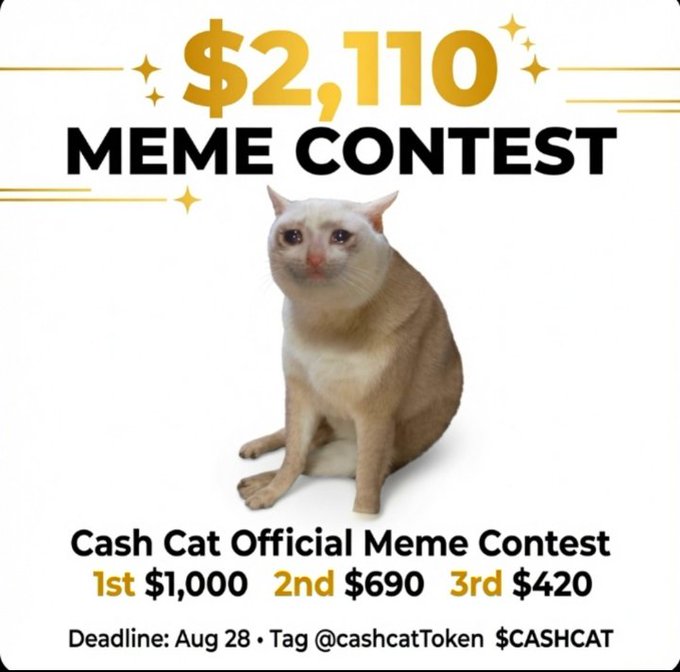 A promotional graphic for the Cash Cat ($CASHCAT) Official Meme Contest features a cream-colored cat and advertises $2,110 in total prizes, with $1,000 for 1st place, $690 for 2nd, and $420 for 3rd, alongside a submission deadline of August 28 and a tag for @cashcat_token, directly supporting the accompanying post's details.