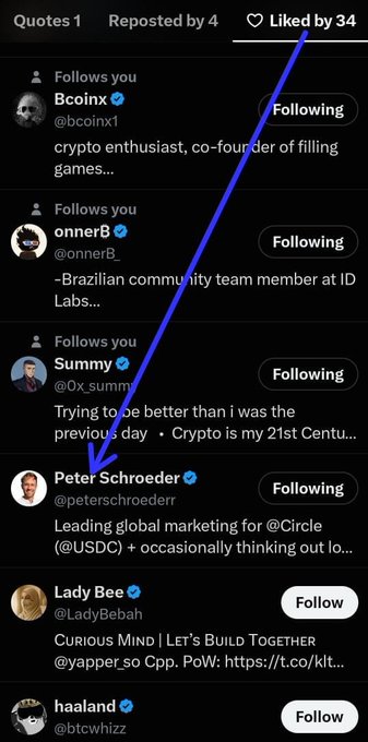 A screenshot of a social media 'Liked by 34' list showing crypto influencers including Bcoinx, onnerB, Summy, Peter Schroeder (with a blue arrow drawn pointing to him), Lady Bee, and haaland.