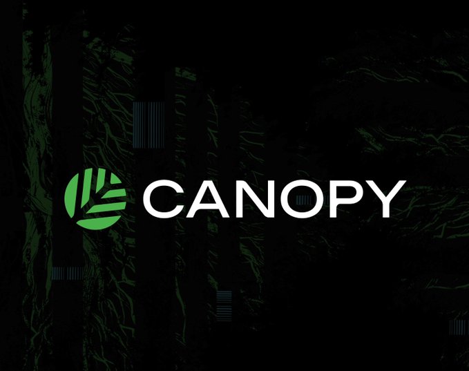 A logo for 'CANOPY' displayed in white text on a dark background with a green circular emblem featuring leaf-like stripes.