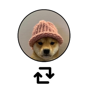 An adorable Shiba Inu puppy wearing a pink knit beanie, displayed in a circular frame with a refresh/reload icon below—using the doge mascot to playfully represent the memecoin comparison between $WIF and $BABYDOGE being asked.