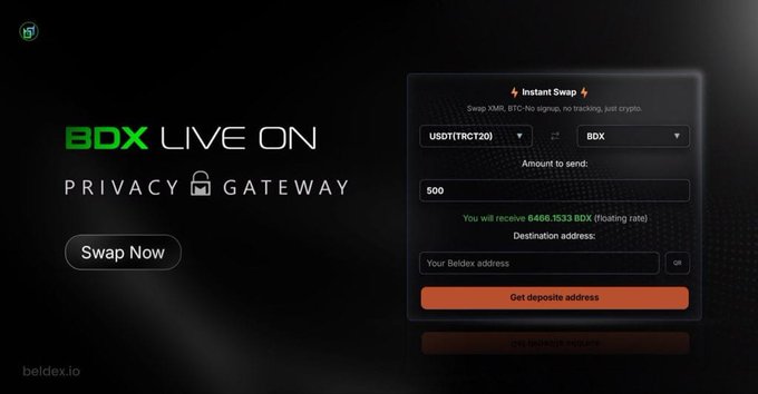 A dark-themed website for beldex.io advertises 'BDX LIVE ON PRIVACY GATEWAY' with an Instant Swap interface converting 500 USDT(TRC20) to BDX, yielding 6468.1533 BDX.