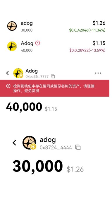 The image shows two cryptocurrency entries with similar names: "adog" (30,000 tokens at $1.26, up 11.34%) and "Adog" (40,000 tokens at $1.15, down 13.59%). The "Adog" entry displays a warning alert warning the user about an asset with a similar or identical name in their wallet, advising caution to avoid losing funds. This illustrates the poster's confusion about why the similarly named tokens receive different treatments — one with a risk warning icon and alert, despite only differing by capitalization.