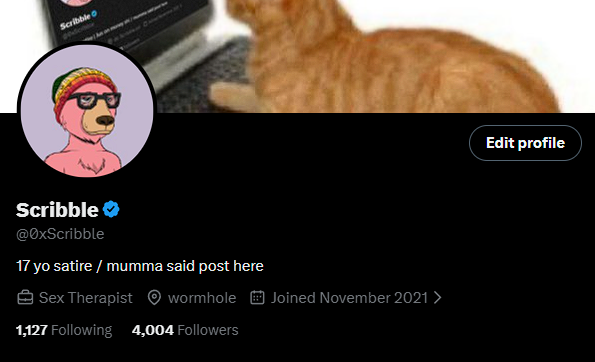 A Twitter/X profile for "Scribble" (@0xScribble) shows 4,004 followers, humorously referenced in the caption as "4,004 reason to leave X," joking that this milestone is reason enough to quit the platform. The bio reads "17 yo satire / mumma said post here," and the profile picture features a cartoon character in a beanie, matching the self-deprecating satirical tone.