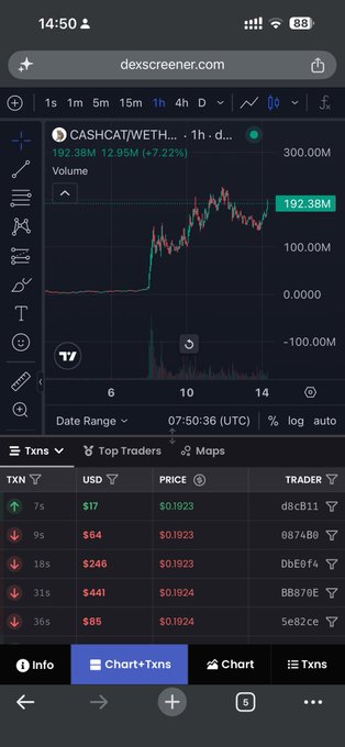 The image shows a Dexscreener chart for the $CASHCAT token (CASHCATWETH pair) displaying a 1-hour price chart with volume at 192.38M (+7.22%), alongside a transactions list showing recent trades priced around $0.1923-$0.1924. The caption reads: "$CASHCAT 1h chart on Dexscreener showing price near 192.38M volume and trading around $0.1923-$0.1924, consistent with the post suggesting the token is approaching a new all-time high."
