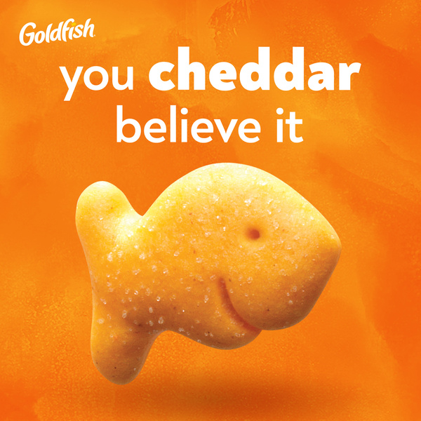 A Goldfish cheddar cracker advertisement featuring the playful text "you cheddar believe it" is displayed against an orange background. The punny caption cleverly celebrates the impressive Firedancer Testnet performance on the SpacemiT K3, suggesting the results are so remarkable they're hard to believe—much like the "unbelievable" cheesy pun.