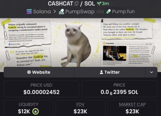 A token page for CASHCAT on Solana via PumpSwap and Pump.fun, showing a price of $0.00002452 USD, liquidity of $12K, and FDV/market cap of $23K, with news clippings about CashCat Solana.