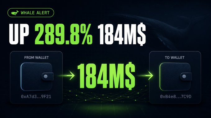 A 'WHALE ALERT' graphic displaying a 289.8% increase and a $184M transfer from wallet '0xA7d3...9F21' to wallet '0xB4e8...7C9D'.