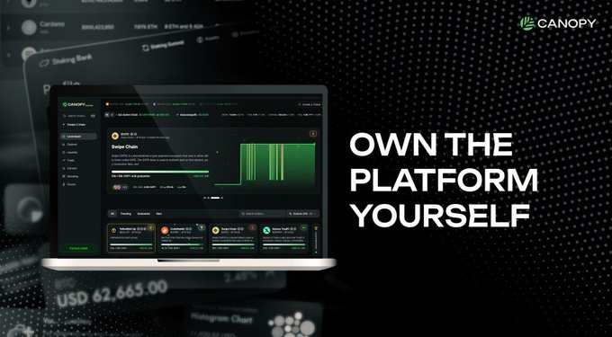 The image features a laptop screen showing a dashboard from the cloud service Canopy Network Platform (CNPY), which has a focus on investing in chain infrastructure, particularly those built on someone else's chains. The company is promoting its "own the platform yourself" feature that enables users to control fees and manage chain space through their account. This unique approach differentiates it from other AI tools focused solely on size and transactions.