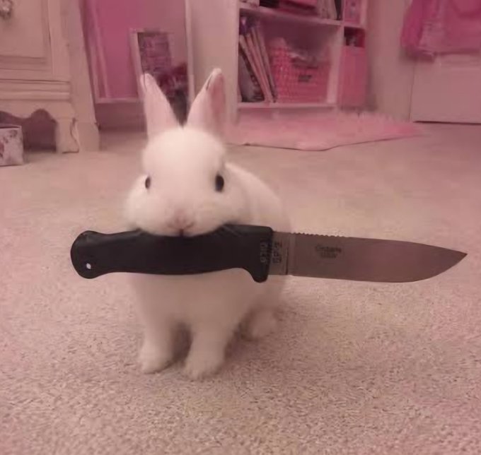 A small white bunny sits on a carpet, playfully holding a large black-handled knife in its mouth.