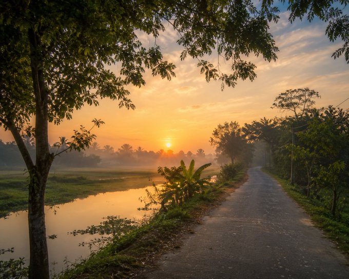 A serene landscape photograph showing a sunrise over a misty river, with a paved road on the right bordered by tropical trees and vegetation.