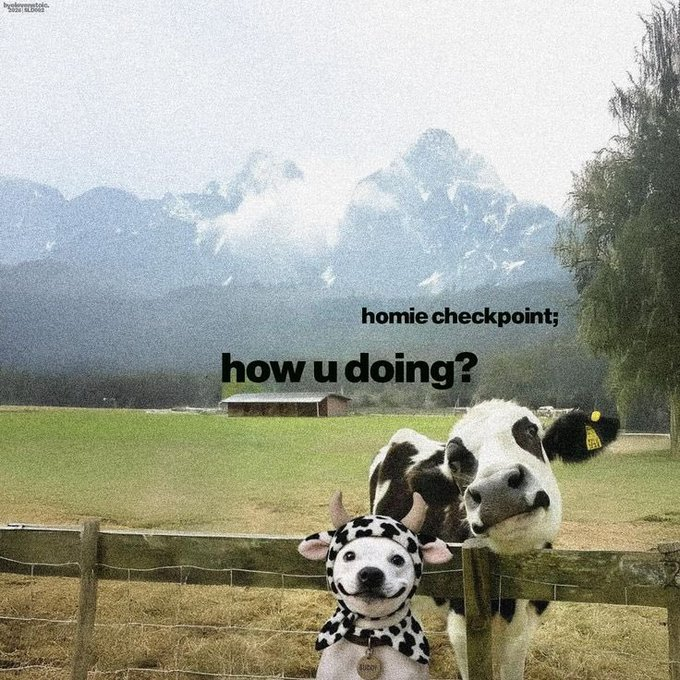 A meme featuring a cow wearing a cow-print hood in a pastoral mountain setting, with text reading 'homie checkpoint; how u doing?' overlaid on the image.