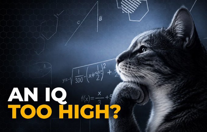 A grayscale photo of a cat in deep contemplation against a background of mathematical equations and geometric diagrams, overlaid with bold text reading "AN IQ TOO HIGH?"—visually capturing the universal experience of overthinking depicted in the meme's relatable caption about HMM being nothing more than a cat thinking.
