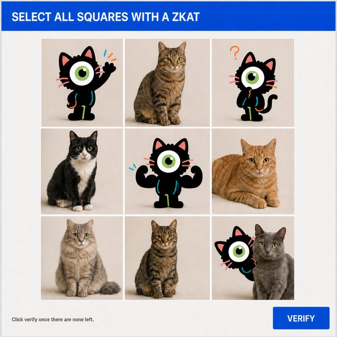 A CAPTCHA verification screen asking users to select all squares containing a cartoon black cat character named 'Zkat', displayed in a 3x3 grid mixing cartoon cats with real photos of various cat breeds.