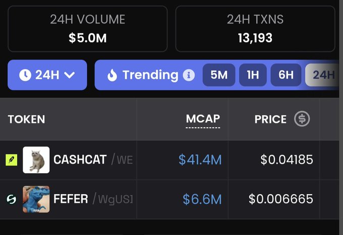 The image shows cryptocurrency market data for CASHCAT, with a market cap of $41.4M, and FEFER, with a market cap of $6.6M. This reflects the user's investment in these two "memes" as stated in the accompanying post.
