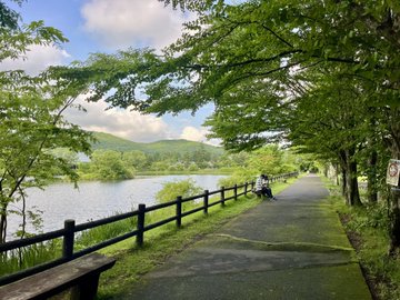 A peaceful lakeside pathway lined with lush green trees and a wooden fence, with a small sign visible on the right, captures the serene walking experience described in the post about wanting to stroll in such a beautiful place. The motorbike parked along the path aligns with the STEPN hashtag, hinting at a leisurely ride or walk enjoyed in this tranquil natural setting.