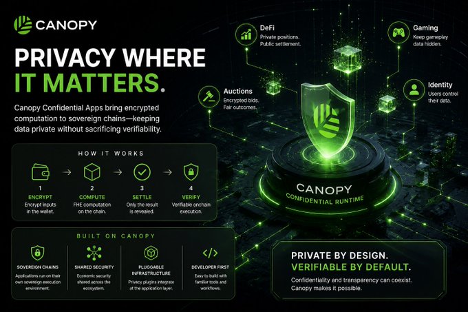 A promotional infographic for "CANOPY" titled "PRIVACY WHERE IT MATTERS," describing Canopy Confidential Apps with a 4-step process (Encrypt, Compute, Settle, Verify) and use cases like DeFi, Auctions, Gaming, and Identity.