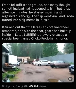 A screenshot of a social media post with 40.2M views detailing the origin story of viral dog Choko Frodo, who gained fame after a Reddit post about him collapsing from gas released inside a large beer container, now inspiring a beer brand named in his honor.