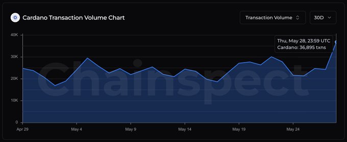 A chart shows the number of transactions made by Cardano over time. The chart has blue lines representing the daily or monthly transaction volume, indicating a trend of increased activity since its launch. The chart displays the months from January through May of the year of release, and it also indicates that there were 36.9K+ transactions processed in the last day of this specific month. Furthermore, the post refers to Cardano as "building something that's going to last for a long time", suggesting that the company is investing effort into creating a sustainable business model or infrastructure. The image provides information about the growth and performance of Cardano over its initial launch years.