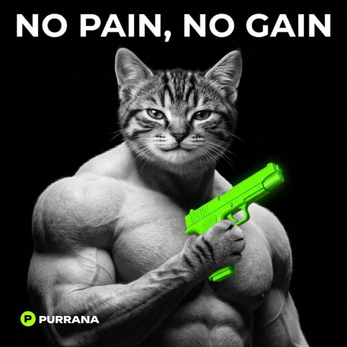 A muscular, shirtless tabby cat holds a glowing green pistol against a black background, with bold white text reading "NO PAIN, NO GAIN" at the top and the "PURRANA" logo in the bottom-left corner, promoting a $30 USDT or SOL giveaway by Purrana.