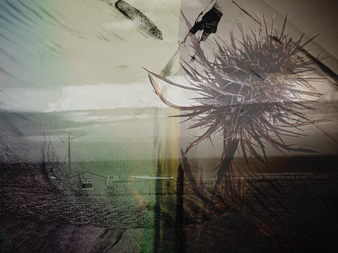An atmospheric, double-exposure style photograph blending a coastal landscape with a close-up of a spiky thistle flower.