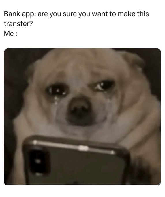 Meme with caption 'Bank app: are you sure you want to make this transfer? Me:' above a photo of a crying pug looking at a smartphone.