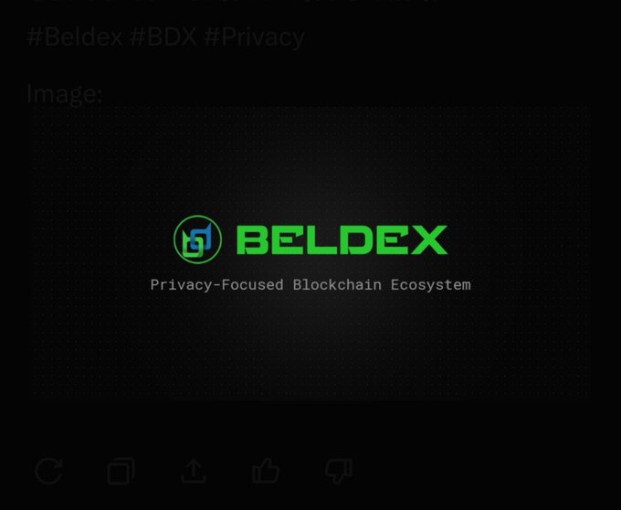 A Beldex (BDX) promotional graphic with hashtags #Beldex #BDX #Privacy, featuring the Beldex logo and tagline 'Privacy-Focused Blockchain Ecosystem' on a dark background.