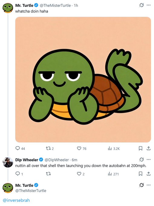 A Twitter/X screenshot showing 'Mr. Turtle' (@TheMisterTurtle) posting 'whatcha doin haha' with a cute cartoon turtle image, followed by a reply from Dip Wheeler joking about 'launching you down the autobahn at 200mph.'